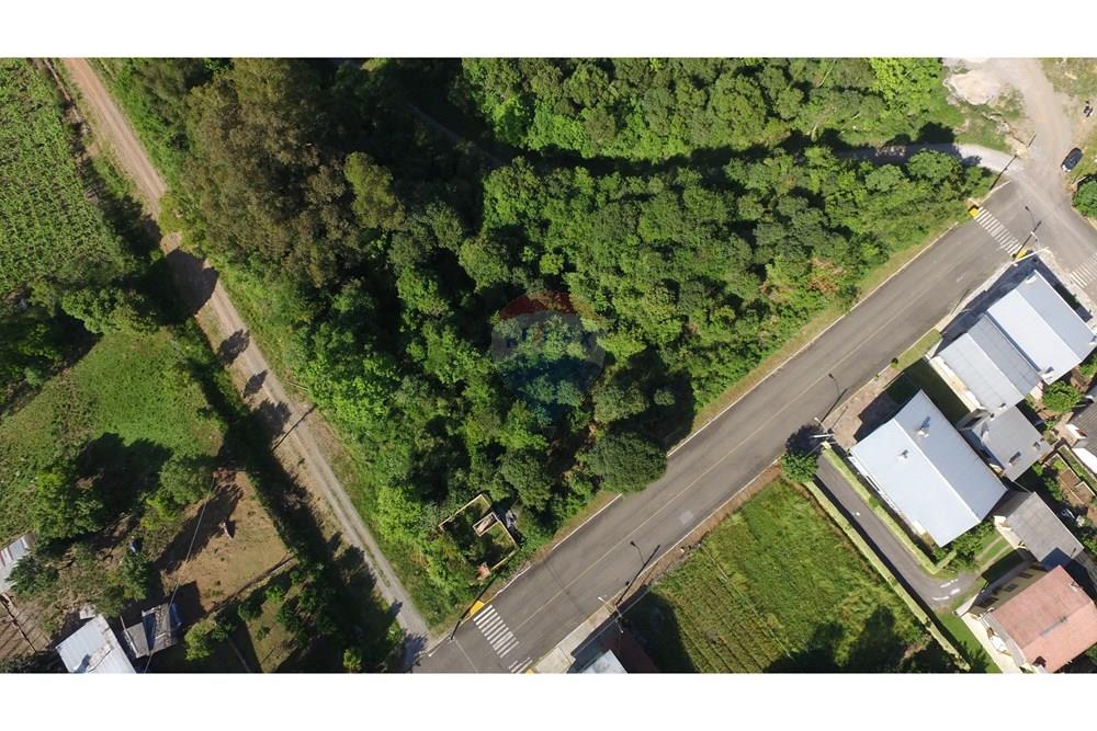 Terreno - Venda - Nova Pádua , Rio Grande do Sul - DJI_00771.jpg - 612551039-219