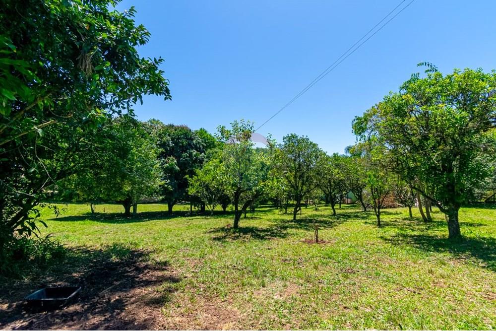 Chácara / Sítio / Fazenda - Venda - Gravataí , Rio Grande do Sul - LRP 30.jpg - 612551082-7