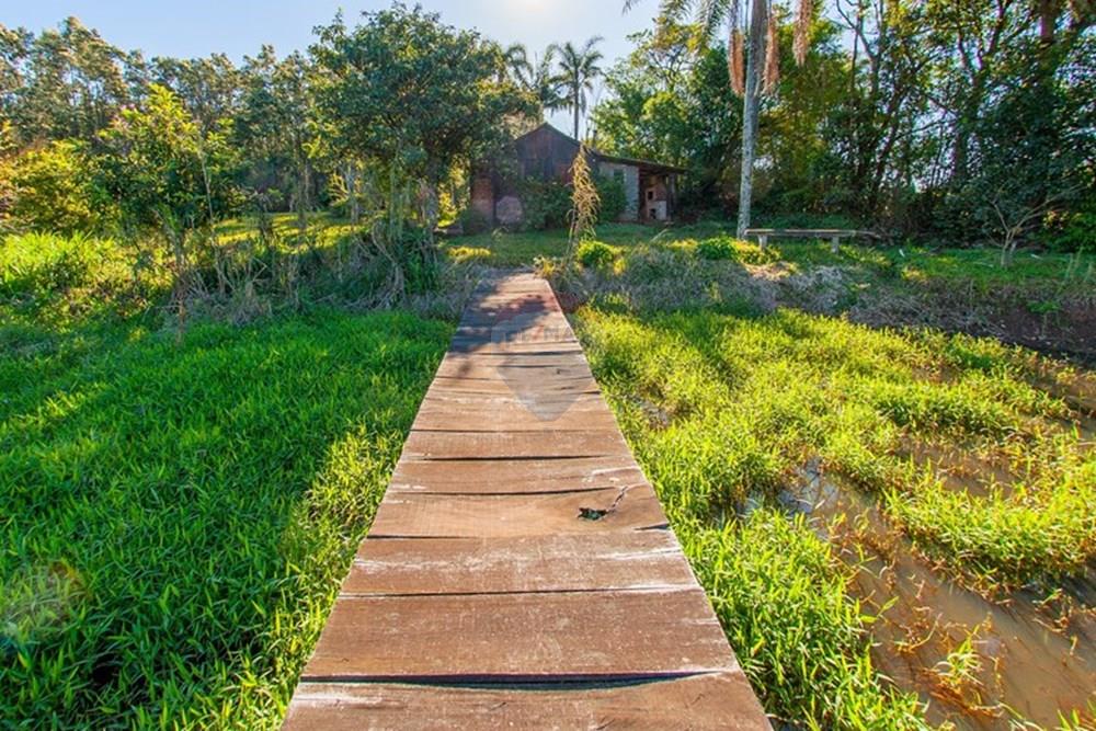 Chácara / Sítio / Fazenda - Venda - Brochier , Rio Grande do Sul - Foto-30.jpg - 610091003-74