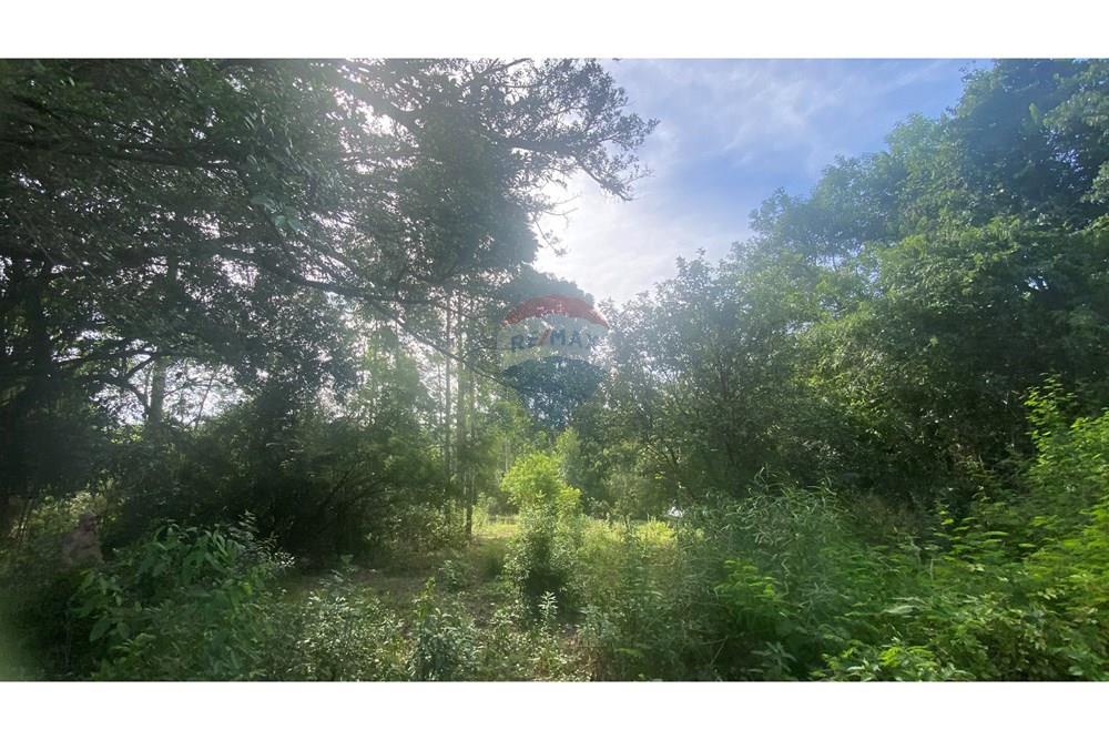 Chácara / Sítio / Fazenda - Venda - Rio Pardo , Rio Grande do Sul - IMG_5707.jpeg - 612741002-49