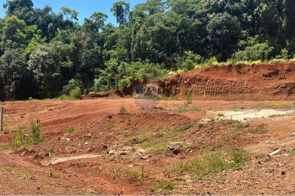 Terreno - Venda - Três Palmeiras , Rio Grande do Sul - WhatsApp Image 2025-11-24 at 14.30.15 (1).jpeg - 610231001-221