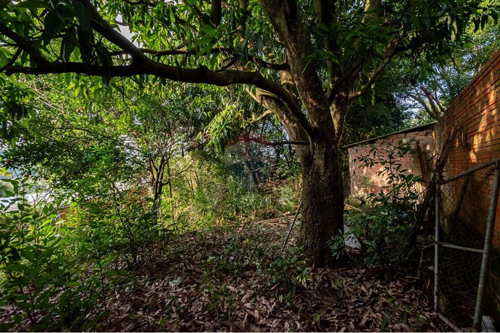 Terreno - Venda - Novo Hamburgo , Rio Grande do Sul - DSC_5064.jpeg - 610261057-8