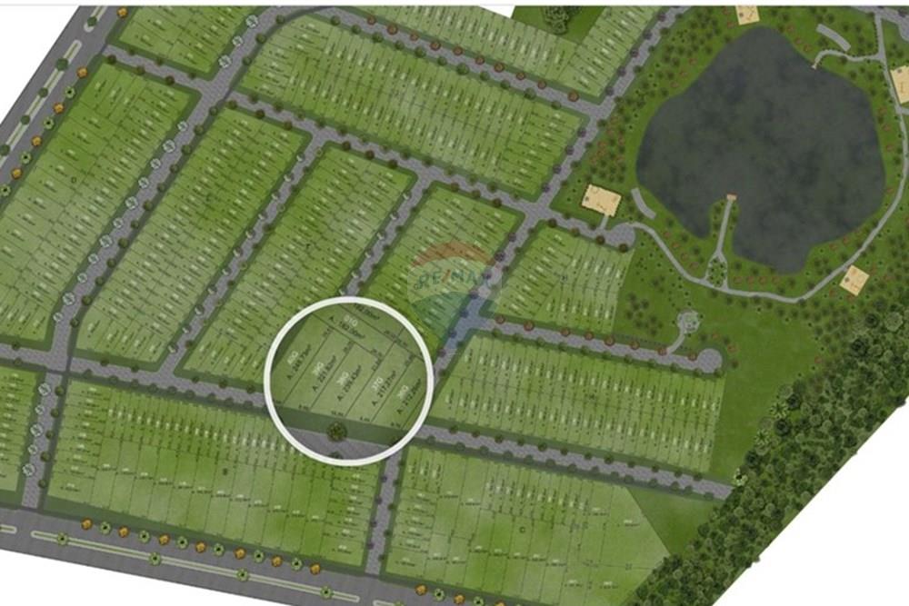 Terreno - Venda - Pelotas , Rio Grande do Sul - WhatsApp Image 2025-08-21 at 00.43.33.jpeg - 610211059-18