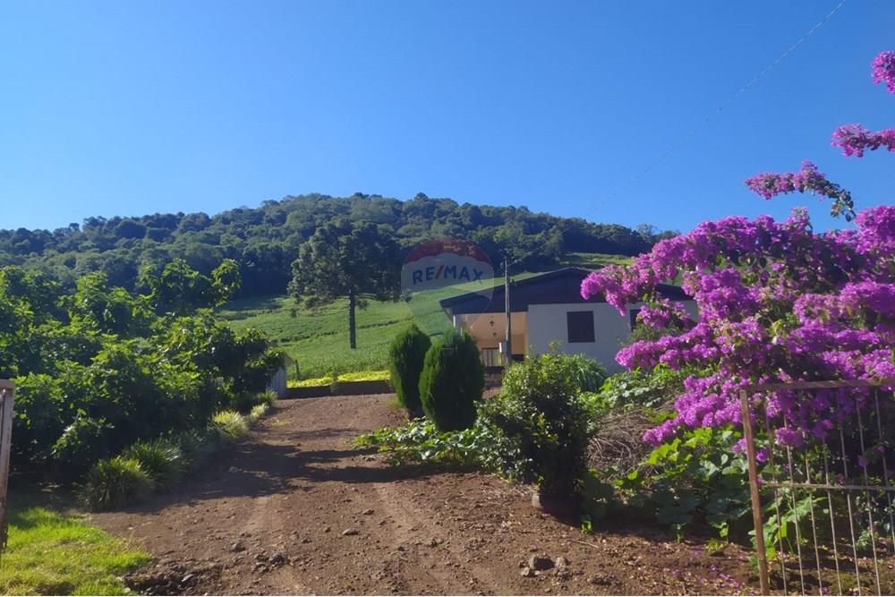 Chácara / Sítio / Fazenda - Venda - Coqueiros do Sul , Rio Grande do Sul - 874a1ce7-d030-4e8b-8194-e5208cae334a.jpg - 612701042-33