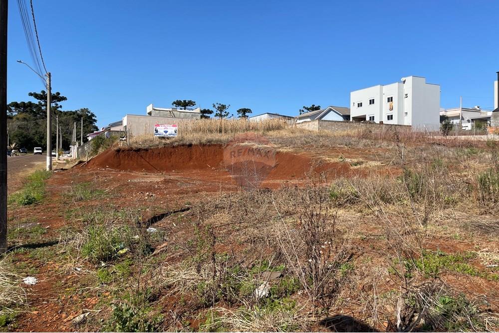 Terreno - Venda - Erechim , Rio Grande do Sul - WhatsApp Image 2025-07-14 at 16.40.51 (1).jpeg - 612761012-8