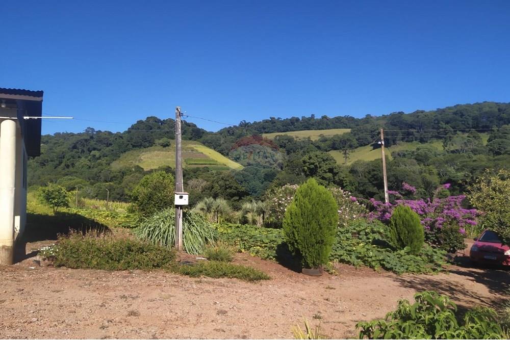 Chácara / Sítio / Fazenda - Venda - Coqueiros do Sul , Rio Grande do Sul - 356e939c-16e4-472b-b331-0abf1c9984d9.jpg - 612701042-33