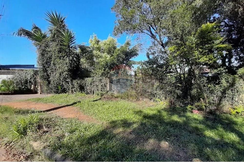 Chácara / Sítio / Fazenda - Venda - Alvorada , Rio Grande do Sul - WhatsApp Image 2025-07-31 at 16.29.27 (1).jpeg - 612531061-12