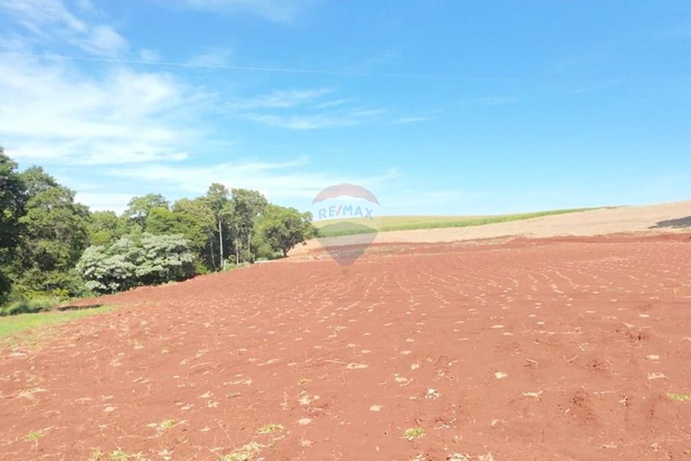 Chácara / Sítio / Fazenda - Venda - Três Palmeiras , Rio Grande do Sul - IMG-20251129-WA0023.jpg - 610231029-134