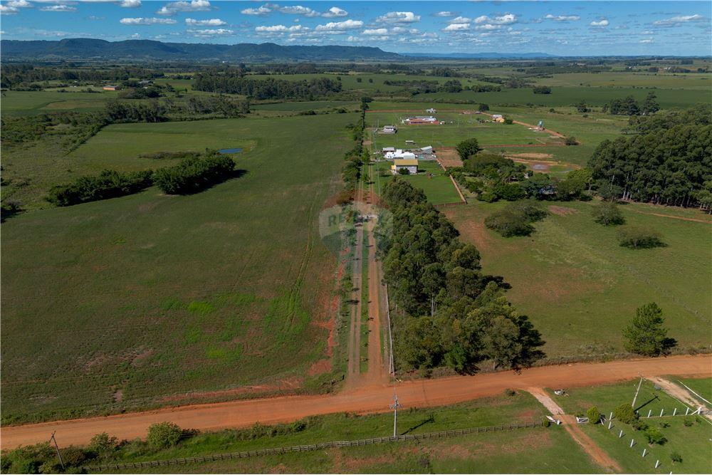 Chácara / Sítio / Fazenda - Venda - Santa Maria , Rio Grande do Sul - 6 - 610311058-23