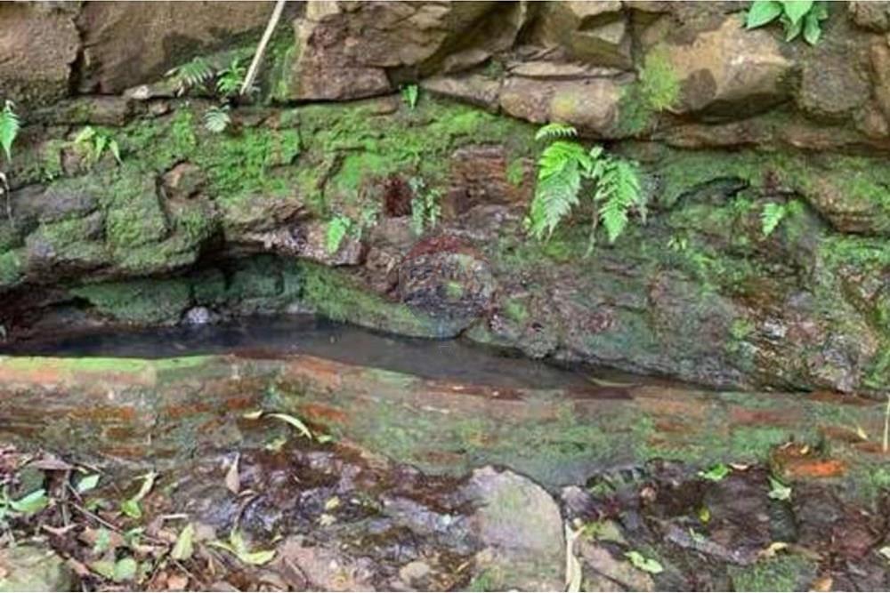 Chácara / Sítio / Fazenda - Venda - Santa Cruz do Sul , Rio Grande do Sul - WhatsApp Image 2025-11-07 at 11.04.18 (2).jpeg - 612741028-61