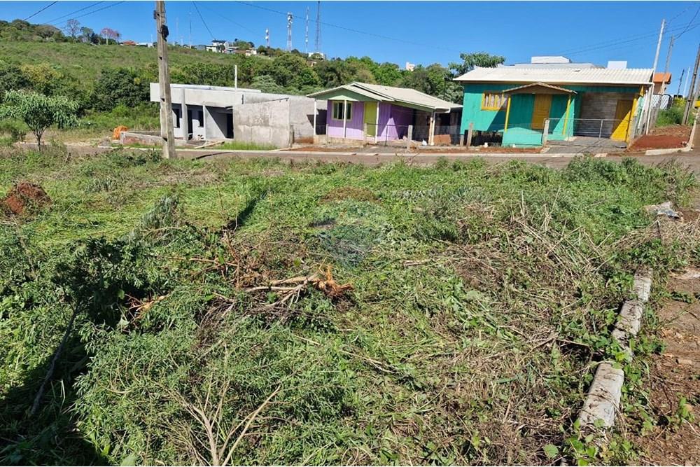 Terreno - Venda - Trindade do Sul , Rio Grande do Sul - IMG-20250923-WA0055.jpg - 610231029-120