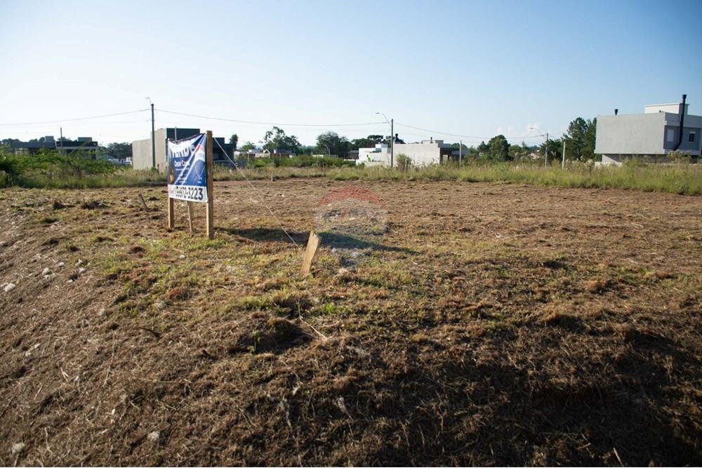 Terreno - Venda - Gravataí , Rio Grande do Sul - 16.jpeg - 612551074-9