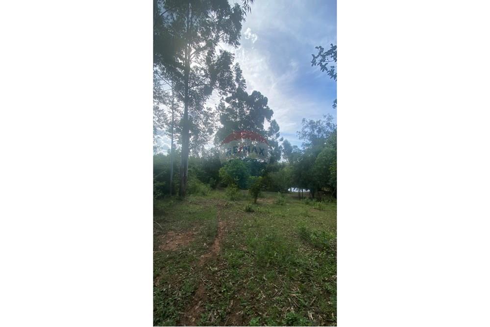 Chácara / Sítio / Fazenda - Venda - Rio Pardo , Rio Grande do Sul - IMG_5710.jpeg - 612741002-49