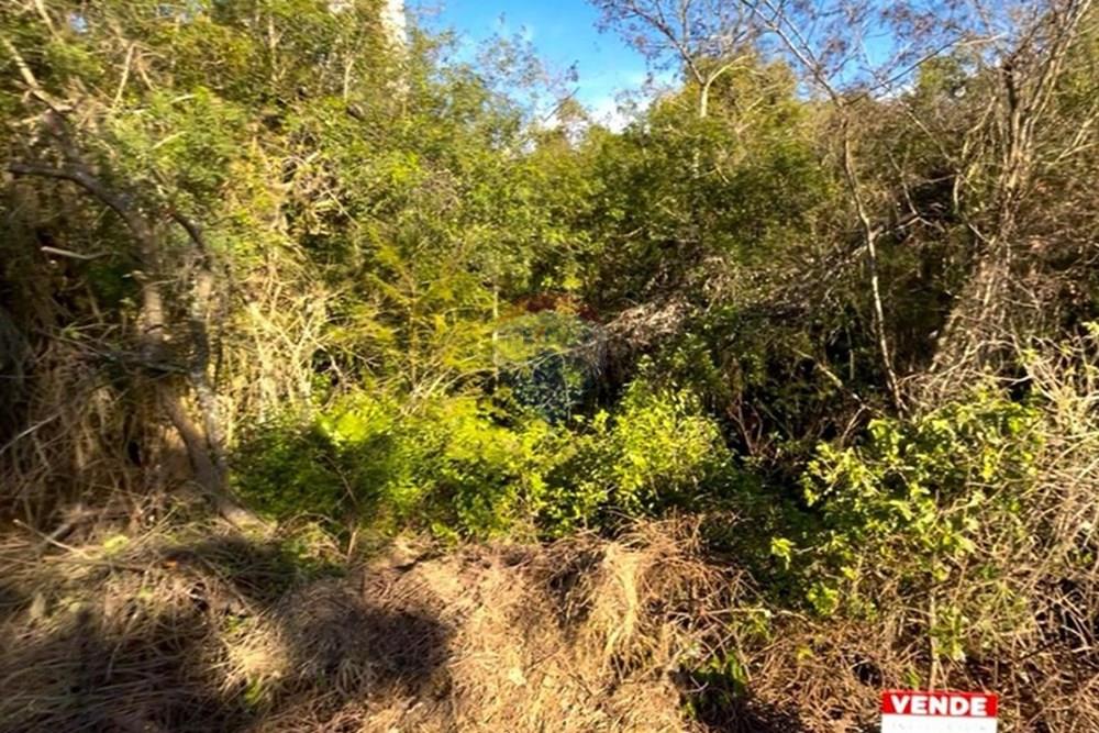 Terreno - Venda - Guaíba , Rio Grande do Sul - Imagem do WhatsApp de 2025-08-28 à(s) 16.10.24_d79a3ec1.jpg - 612781019-16