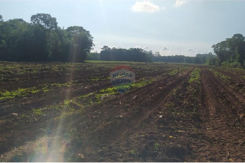 Terreno - Venda - Terra de Areia , Rio Grande do Sul - a229788c-247b-4511-bd40-8cd6efffcbde.jpg - 612671028-42