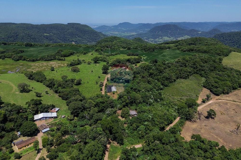 Chácara / Sítio / Fazenda - Venda - Silveira Martins , Rio Grande do Sul - DJI_0811.jpg - 610311058-39
