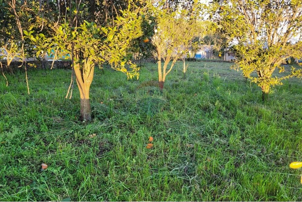 Terreno - Venda - Trindade do Sul , Rio Grande do Sul - WhatsApp Image 2025-08-28 at 20.58.52.jpeg - 610231035-3