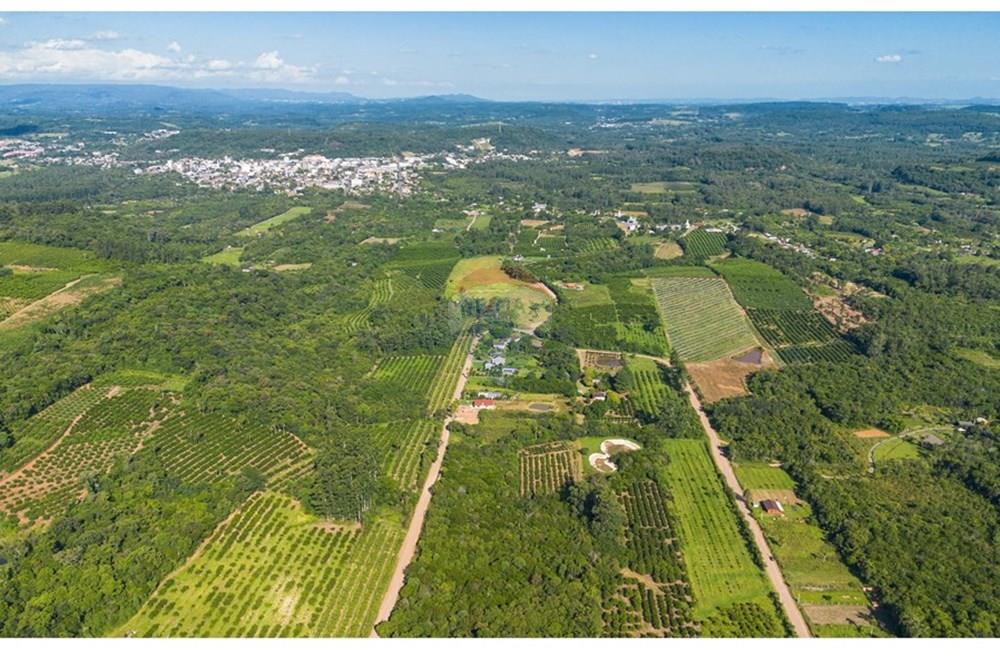Terreno - Venda - Pareci Novo , Rio Grande do Sul - Foto-14.jpg - 610091005-86