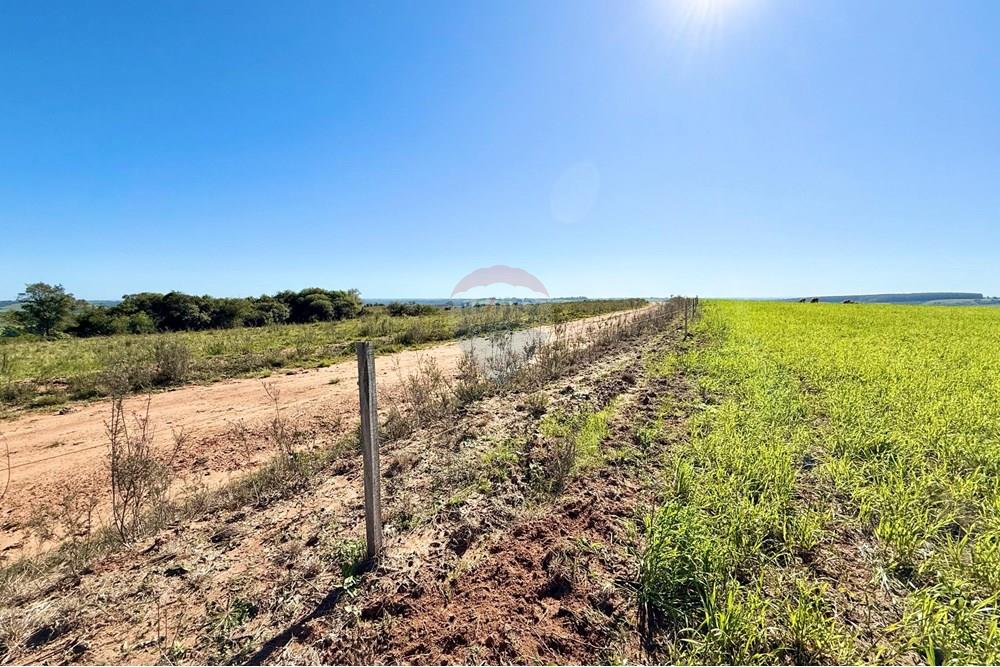 Chácara / Sítio / Fazenda - Venda - Santa Margarida do Sul , Rio Grande do Sul - WhatsApp Image 2025-06-25 at 09.09.54 (1).jpeg - 612631001-60