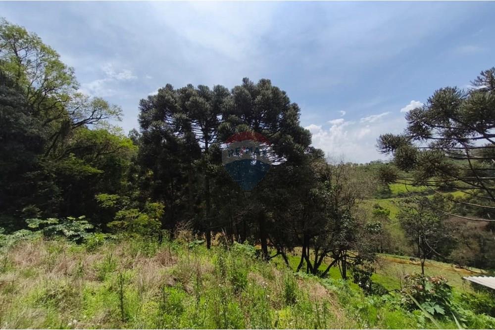 Terreno - Venda - São Valentim , Rio Grande do Sul - WhatsApp Image 2025-10-11 at 13.51.08 (2).jpeg - Fachada - 612761006-54