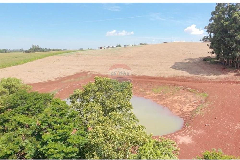 Chácara / Sítio / Fazenda - Venda - Três Palmeiras , Rio Grande do Sul - IMG-20251129-WA0011.jpg - 610231029-134
