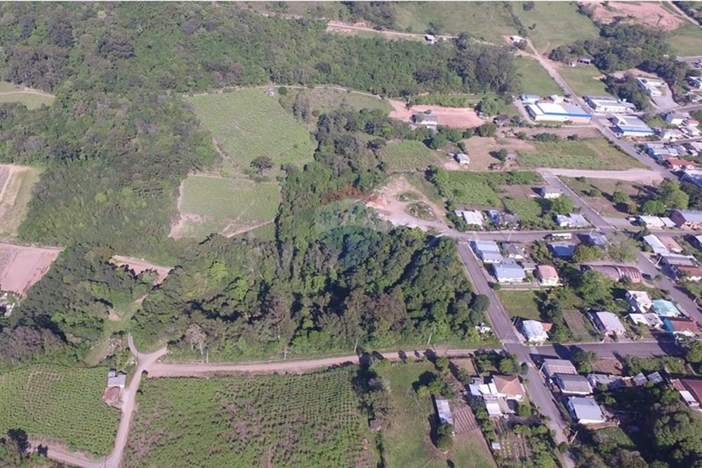 Terreno - Venda - Nova Pádua , Rio Grande do Sul - DJI_00661.jpg - 612551039-219