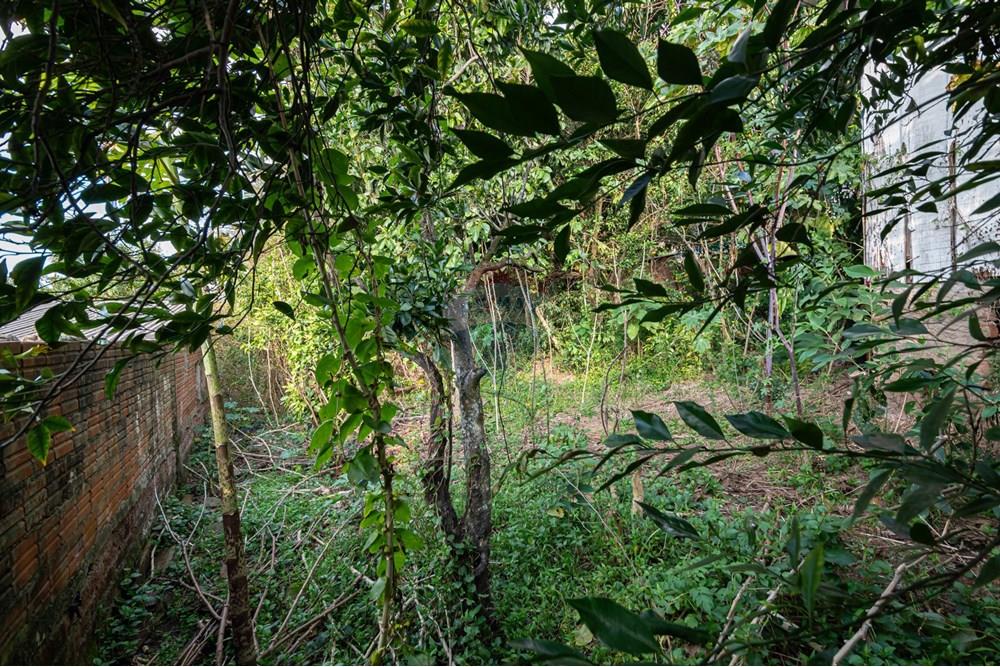 Terreno - Venda - Novo Hamburgo , Rio Grande do Sul - DSC_5075.jpeg - 610261057-8