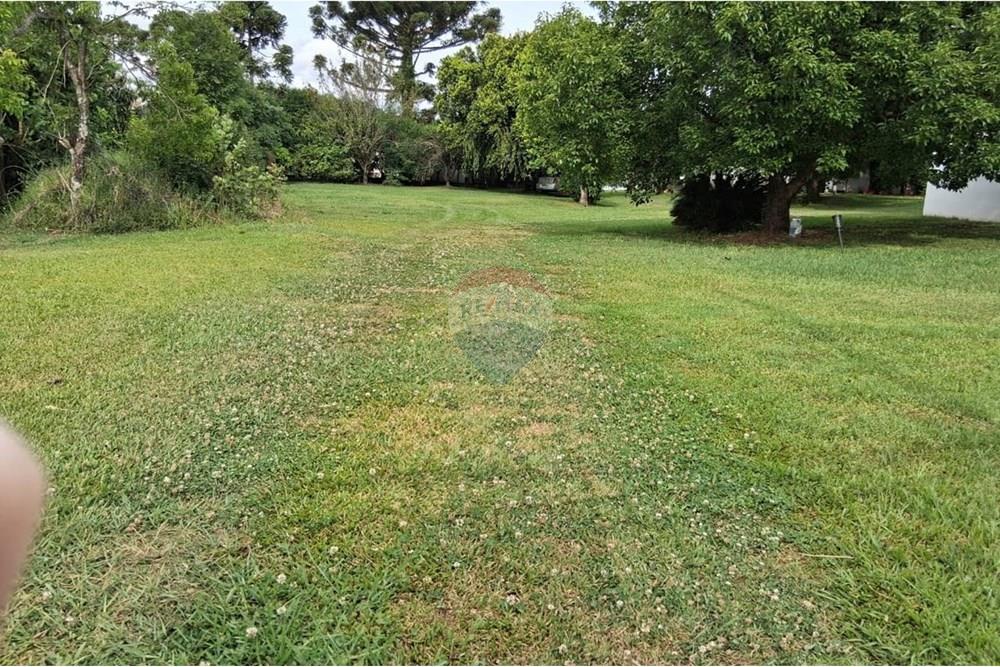 Terreno - Venda - Ibirapuitã , Rio Grande do Sul - WhatsApp Image 2025-12-01 at 16.35.05 (1).jpeg - 610271103-10