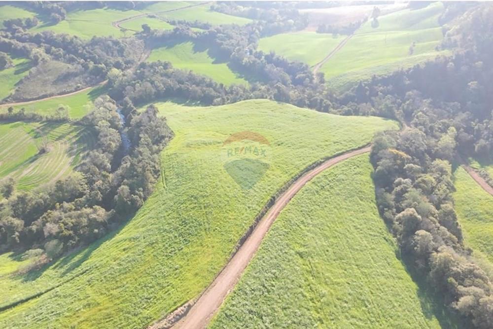 Agro - Venda - Três Palmeiras , Rio Grande do Sul - WhatsApp Image 2025-08-30 at 19.35.33 (3).jpeg - 610231001-210