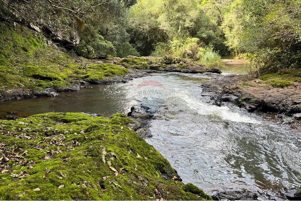 Fazenda - Venda - Lagoa Vermelha , Rio Grande do Sul - IMG_4204.jpg - 610111017-4