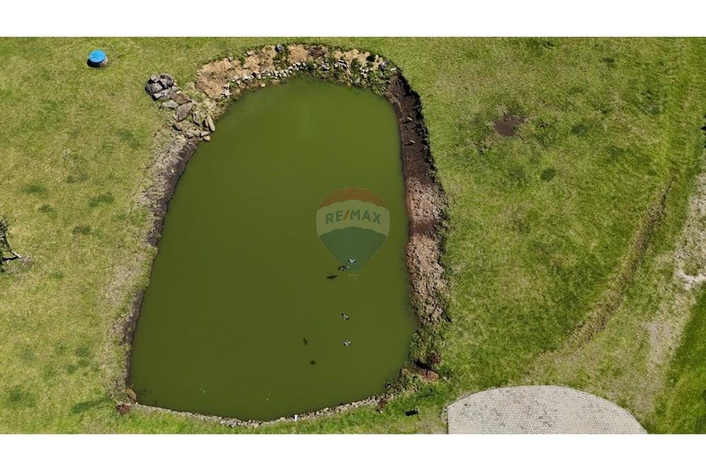 Casa de Campo - Venda - São Francisco de Paula , Rio Grande do Sul - WhatsApp Image 2026-01-21 at 18.16.13.jpeg - 610131034-43