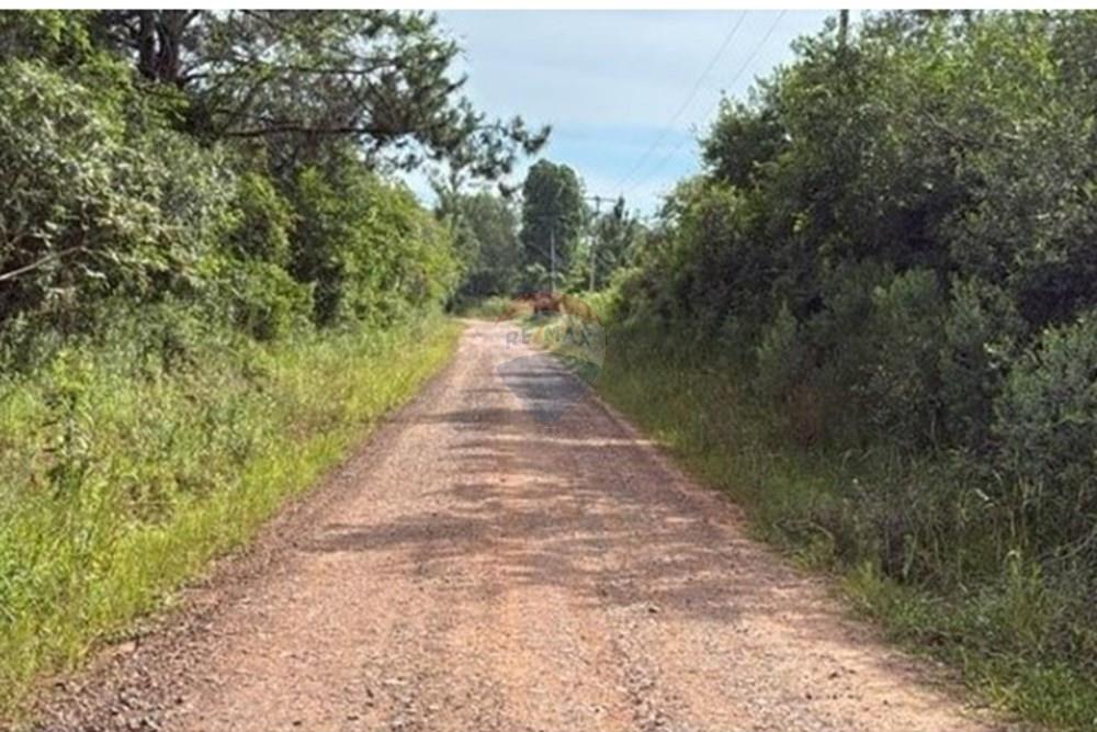 Terreno - Venda - Santa Maria , Rio Grande do Sul - estrada acesso Propriedade Betho 1.jpg - 610451026-2