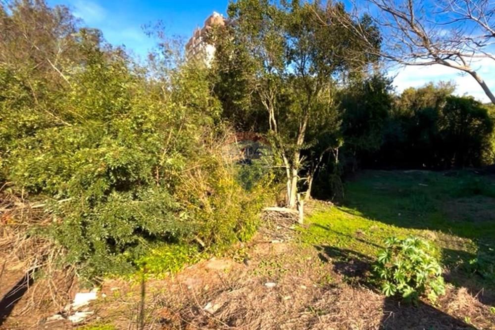 Terreno - Venda - Guaíba , Rio Grande do Sul - Imagem do WhatsApp de 2025-08-28 à(s) 16.10.21_259ce085.jpg - 612781019-11