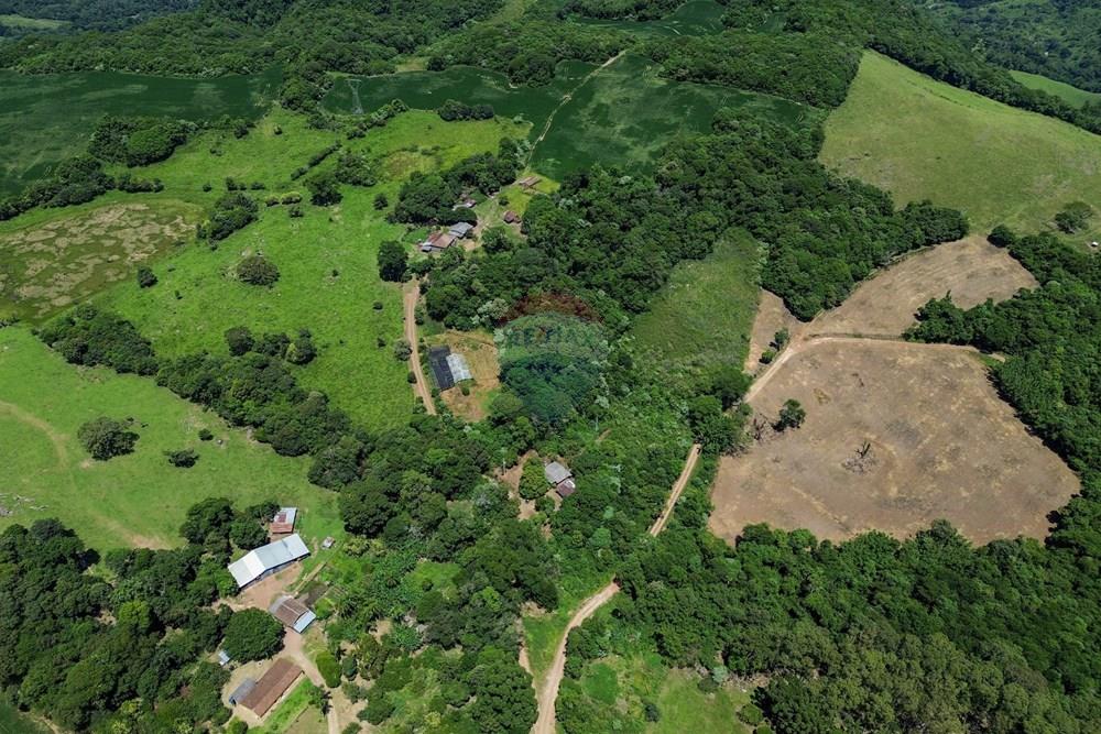 Chácara / Sítio / Fazenda - Venda - Silveira Martins , Rio Grande do Sul - DJI_0822.jpg - 610311058-39