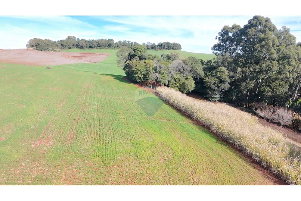 Chácara / Sítio / Fazenda - Venda - Nonoai , Rio Grande do Sul - 1000606501.jpg - 610231010-128