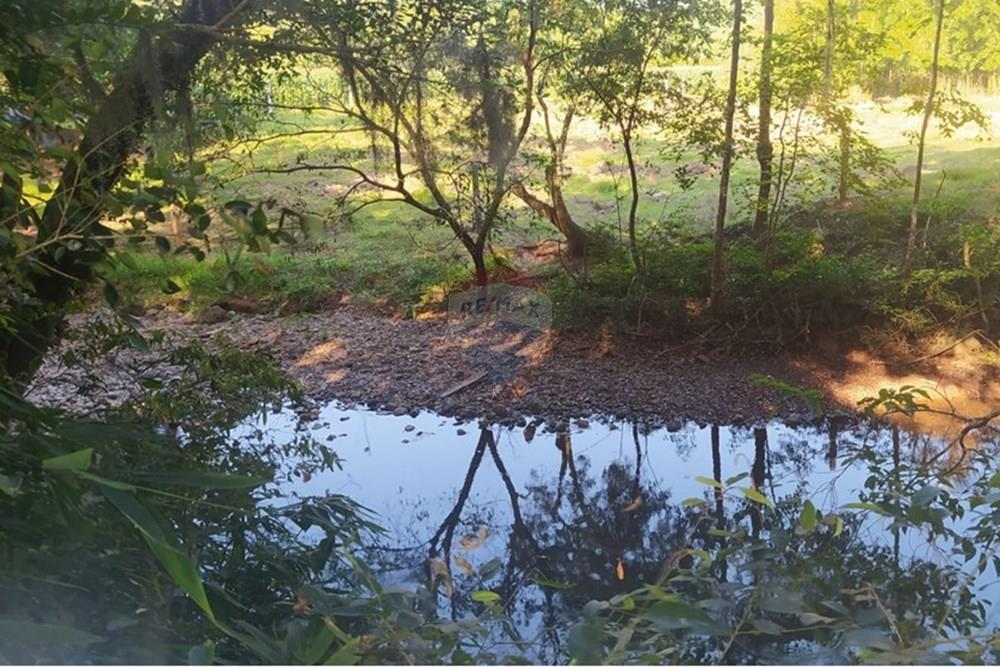 Terreno - Venda - Terra de Areia , Rio Grande do Sul - 954aea3c-3e3a-4561-9008-045e9f0cc371.jpg - 612671028-42