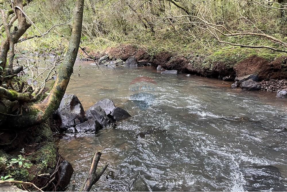 Fazenda - Venda - Lagoa Vermelha , Rio Grande do Sul - IMG_4184.jpg - 610111017-4