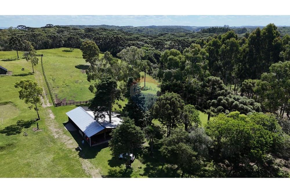 Casa de Campo - Venda - São Francisco de Paula , Rio Grande do Sul - WhatsApp Image 2026-01-21 at 18.16.26.jpeg - 610131034-43