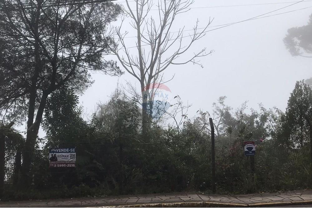 Terreno - Venda - Gramado , Rio Grande do Sul - 1fac60eb-067c-44e8-b04b-637f4ffc81cf.jpg - 610131005-43