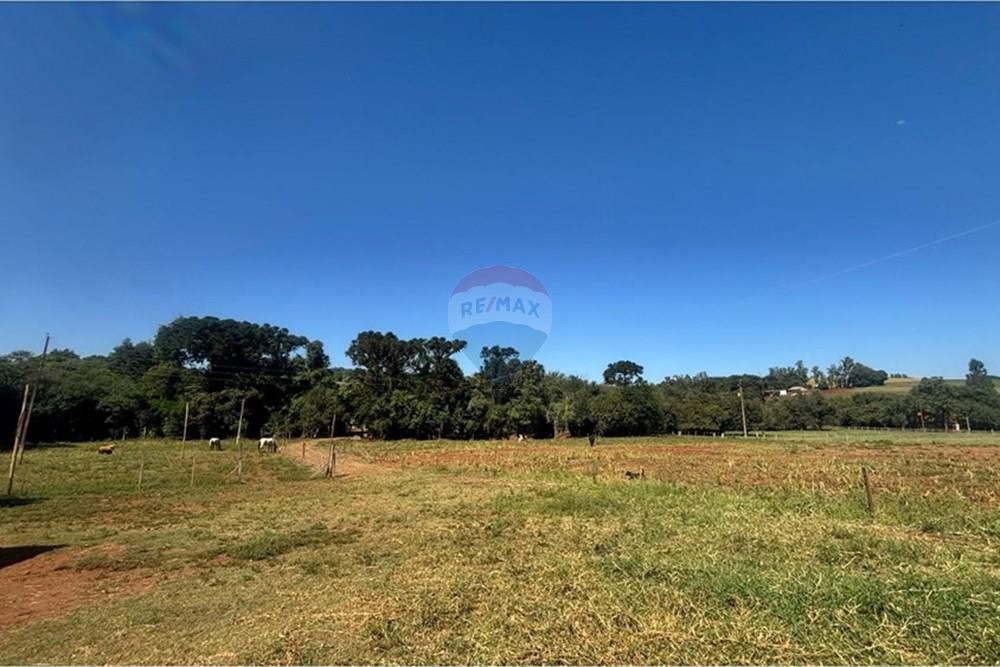 Chácara / Sítio / Fazenda - Venda - Lagoa dos Três Cantos , Rio Grande do Sul - 238c6080-c390-41a9-9f0c-1c6a6eb7210d.jpeg - 612701005-19