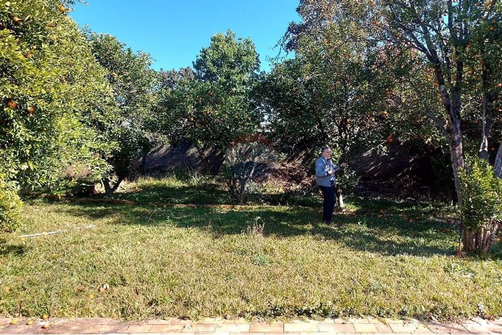 Casa - Venda - Passo Fundo , Rio Grande do Sul - WhatsApp Image 2025-08-08 at 11.24.01.jpeg - 612721043-2