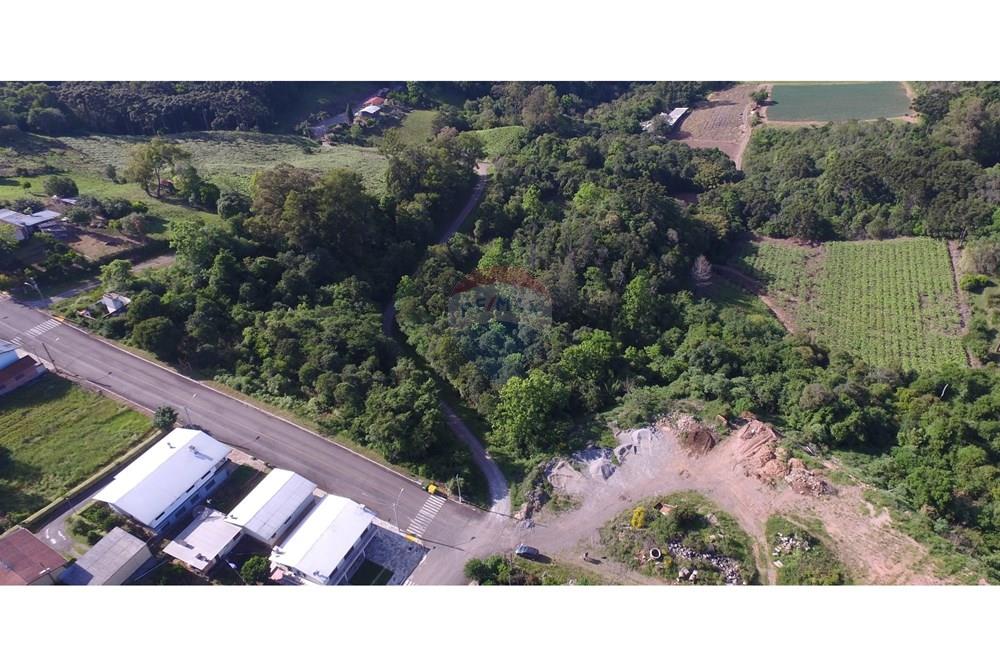 Terreno - Venda - Nova Pádua , Rio Grande do Sul - DJI_00441.jpg - 612551039-219