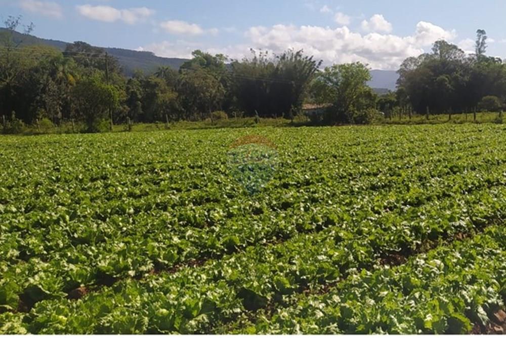 Terreno - Venda - Terra de Areia , Rio Grande do Sul - 94bb9fa9-2de5-405b-9b0c-143f182c3ea7.jpg - 612671028-46