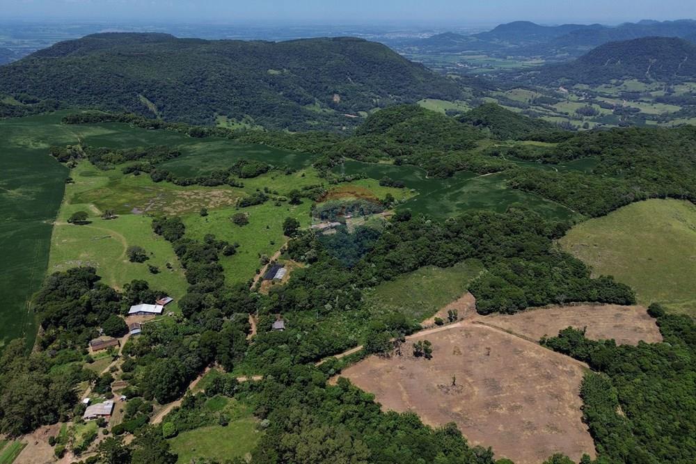 Chácara / Sítio / Fazenda - Venda - Silveira Martins , Rio Grande do Sul - DJI_0816.jpg - 610311058-39