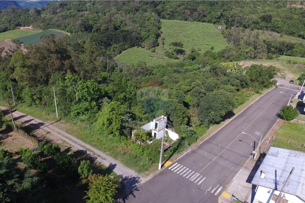 Terreno - Venda - Nova Pádua , Rio Grande do Sul - DJI_007312.jpg - 612551039-219