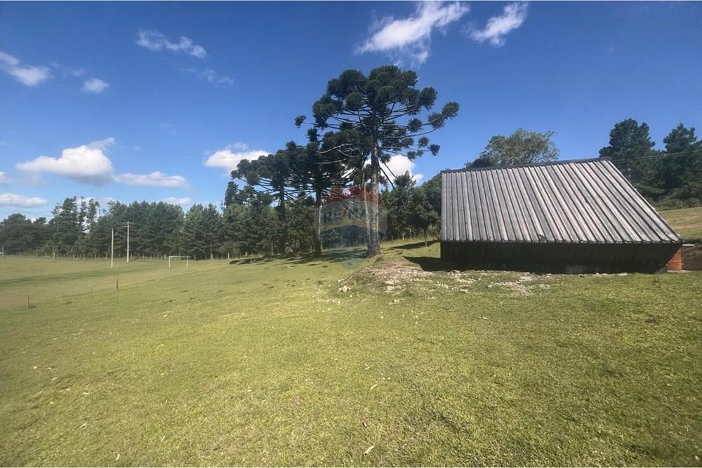 Casa de Campo - Venda - São Francisco de Paula , Rio Grande do Sul - WhatsApp Image 2026-01-21 at 08.58.14.jpeg - 610131034-43