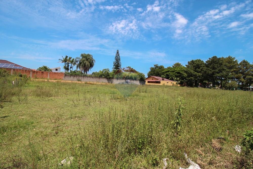 Terreno - Venda - Santa Maria , Rio Grande do Sul - IMG_4975.jpg - 610471031-19