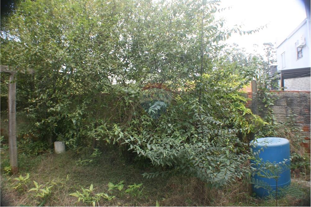 Terreno - Venda - Cachoeirinha , Rio Grande do Sul - IMG_4777.JPG - 612551022-106