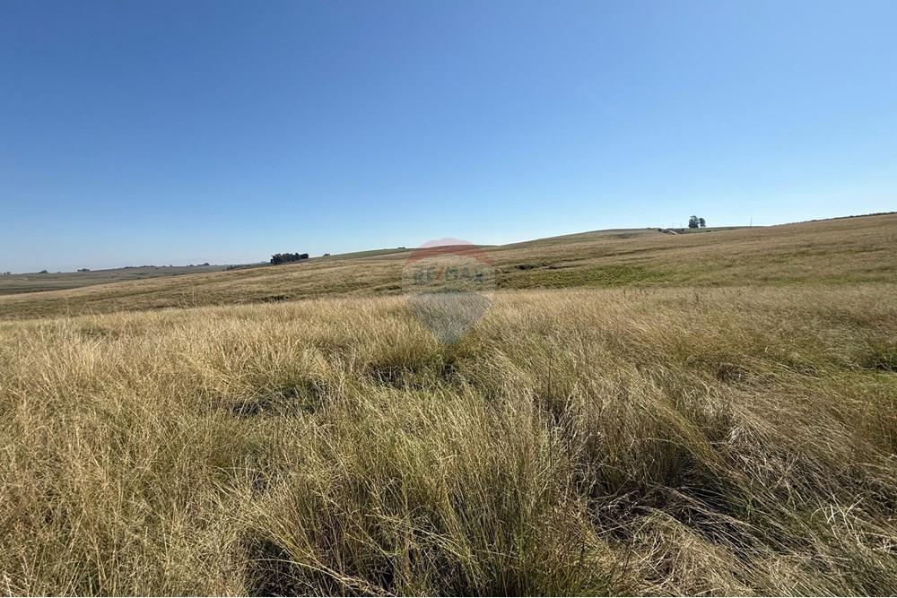 Chácara / Sítio / Fazenda - Venda - São Gabriel , Rio Grande do Sul - Imagem do WhatsApp de 2025-06-27 à(s) 23.45.39_ba572141.jpg - 612631046-8