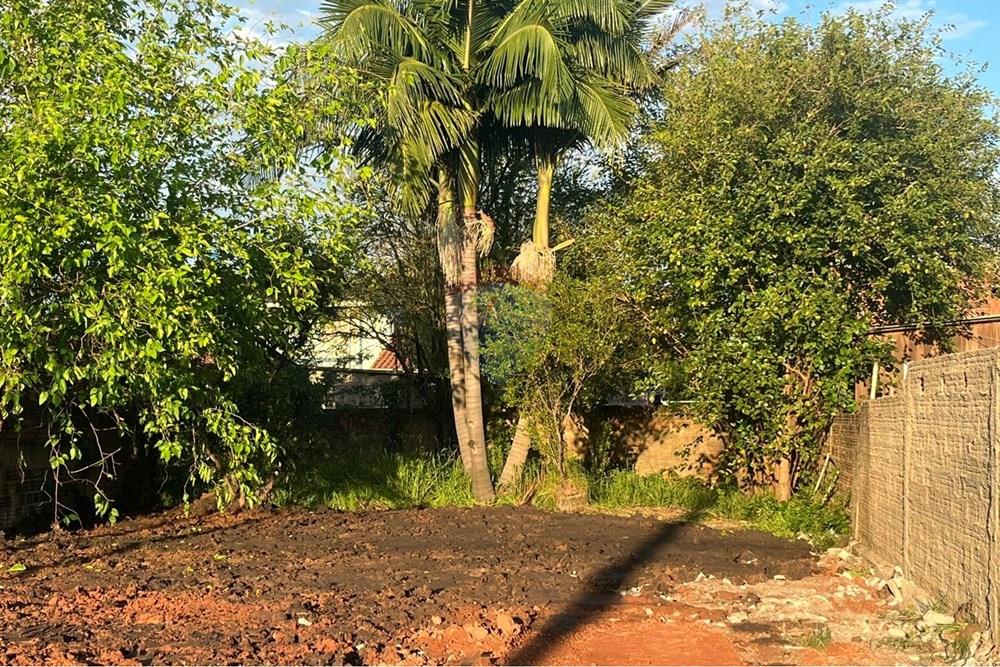 Terreno - Venda - São Leopoldo , Rio Grande do Sul - 05.jpeg - 610411034-149